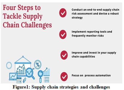 Figure1: Supply chain strategies and challenges